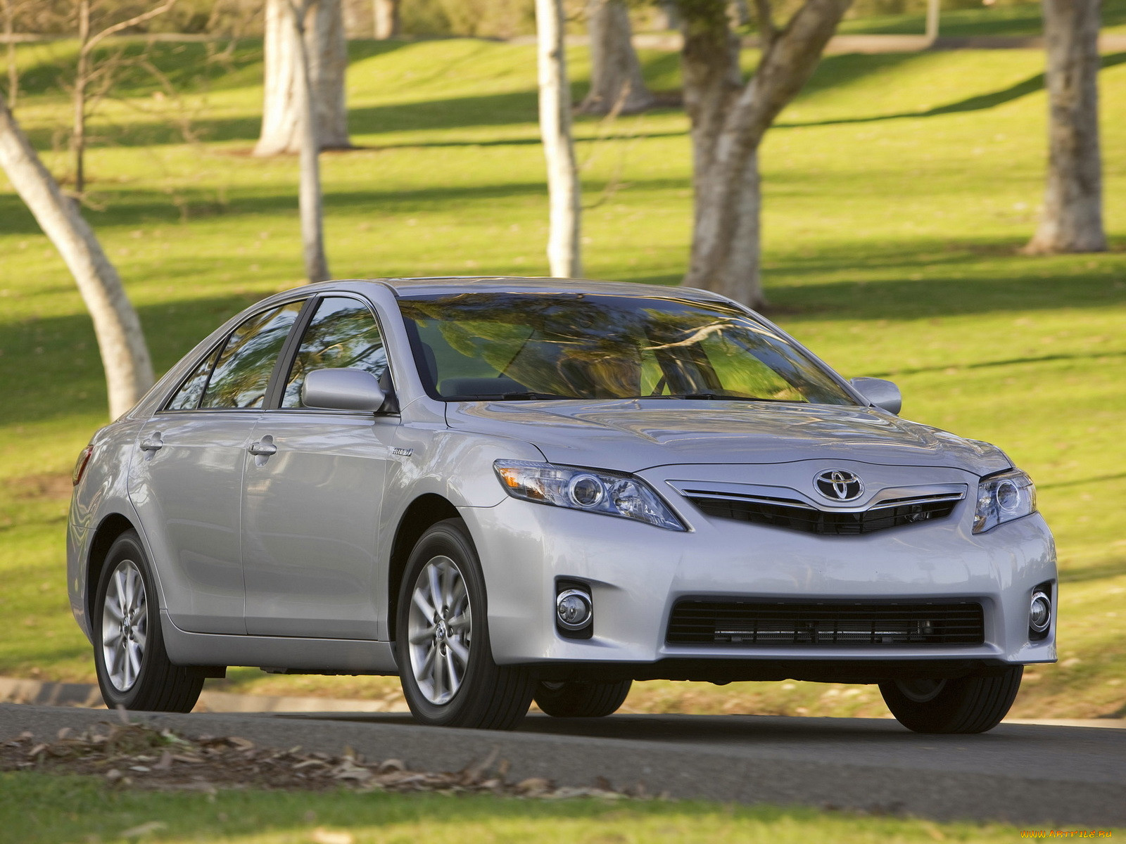 , toyota